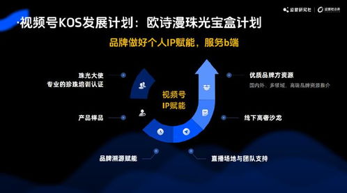 2024年五大運營新玩法 互聯網終點的小浪淘金——上?；ヂ摼W銷售公司啟示錄